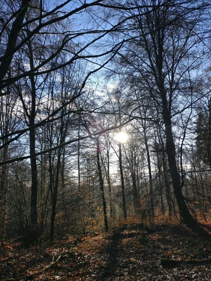 Katharina Ferienwohnung Am Eifelsteig Neroth ภายนอก รูปภาพ